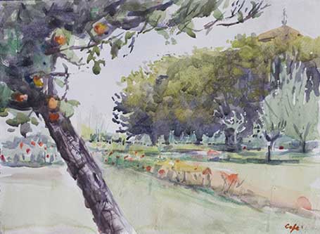 watercolour, demonstration, painting workshop, apple tree, chateau, France