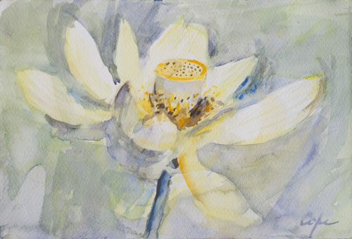 Lotus Flower watercolour lotus500