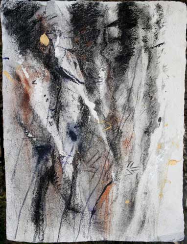 'Birds, Cliff & Aviform' Drawing aviform-vol-falaise