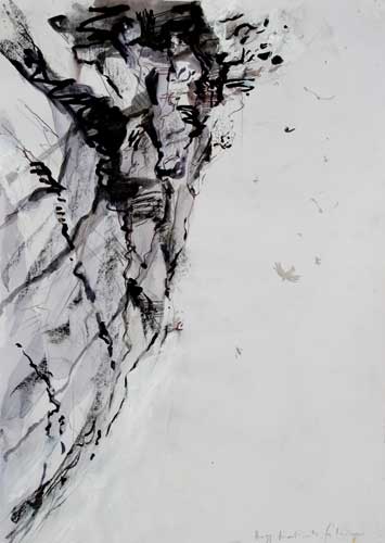 drawing of cliff & birds overhangA3-500
