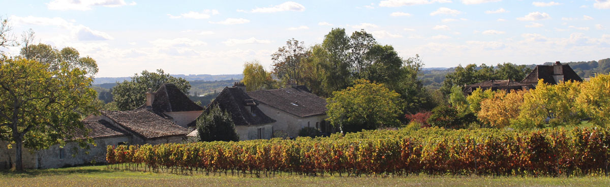 panorama autumn domaine de fumel vines dordogne