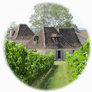 vignette old stone house in vines gite