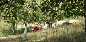 tractor-in-field-france