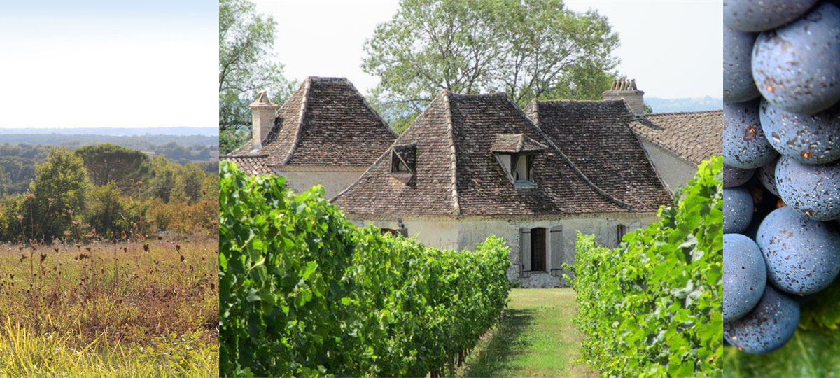 domaine de fumel painting holiday venue dordogne vines distant hills old stone houses