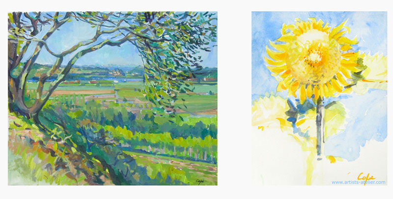 oil painting watercolour art south west france sunflower green landscape plein air adam cope