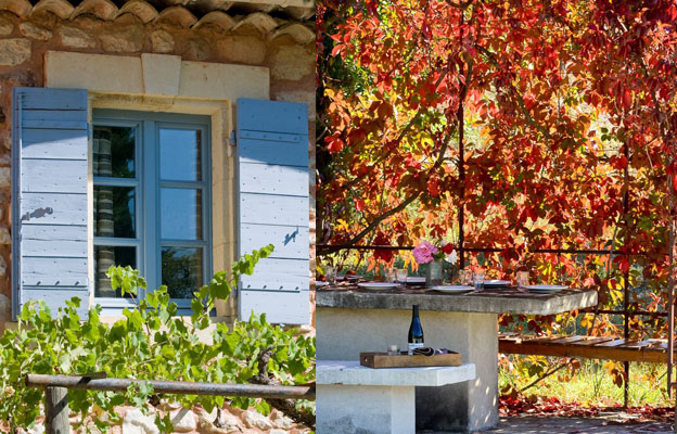 vines blue shutters provence