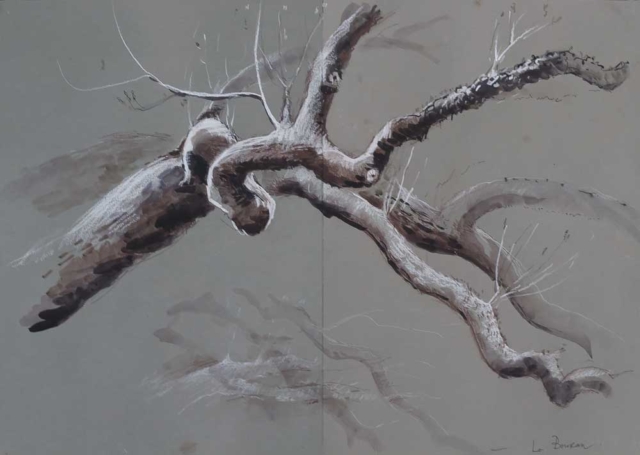 drawing, tree brabnches, tonal three dimensions, white chalk on grey paper, winter branches