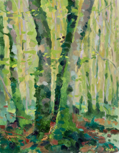 trees, woods, oil painting, plein-air,green,vernal,