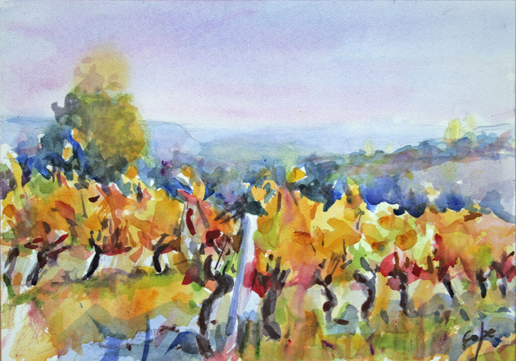 Vignobles, Bergerac AOC, aquarelle, duras, automne, couleur,