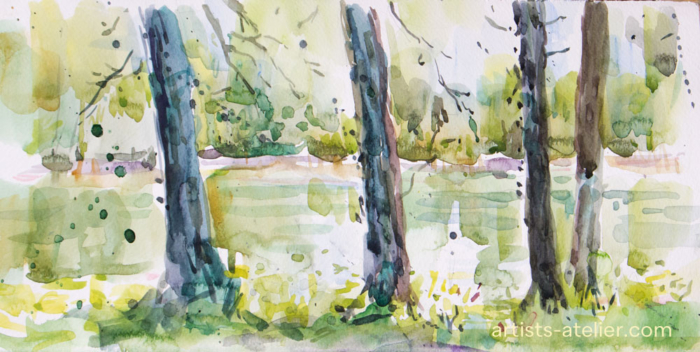 watercolour, sketch,,trees, pond, green,french,poplars
