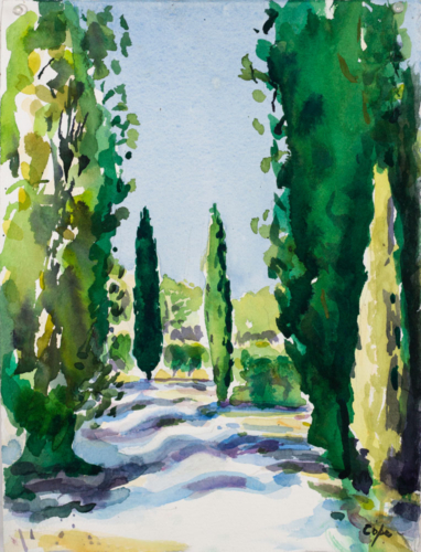 aquarelle,cypresss,chemin blanc,jardin,provence,