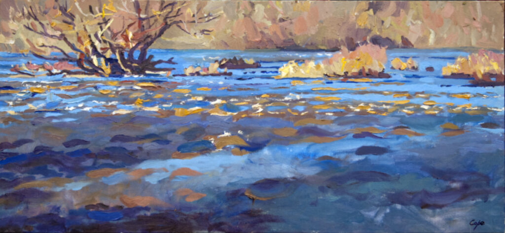 river,oil painting,fast flowing water,dordogne, islands,winter, alla prima,plein air