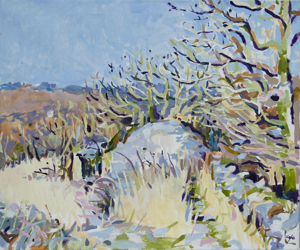 Adam Cope,Paysage, quercy,lot,causse, neo-romantic,peinture huile, pleinair,painting,winter, stoney,rocky,trees