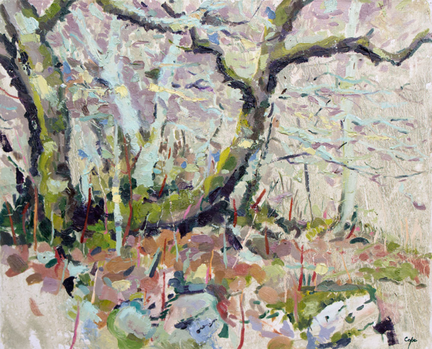 lichen,forst,wild wooods, trees, causse de quercy, lot, oil painting, winter trees, palette knive, texture,