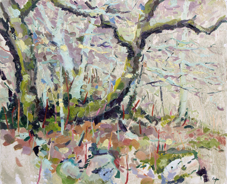 art,oil,painting,plein air,lot,france,lichen,wildwood,trees, rocks