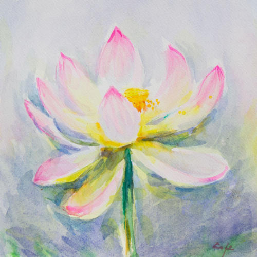 Lotus,Nelumbo Nucifera,watercolour,luminous,flower,light,spectral
