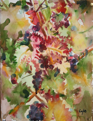 loose watercolour, grapes  vines ,bokeh, fade out , watercolor autumn ,colours ,vendanges, vignoble