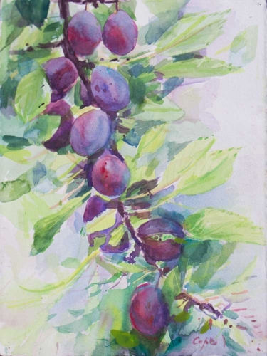 watercolour,plum tree, wet on wet,colourist,expressive
