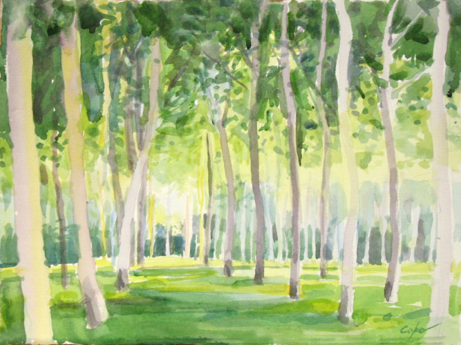 poplars, semi-abstract,watercolour,green,aquiqtine, france