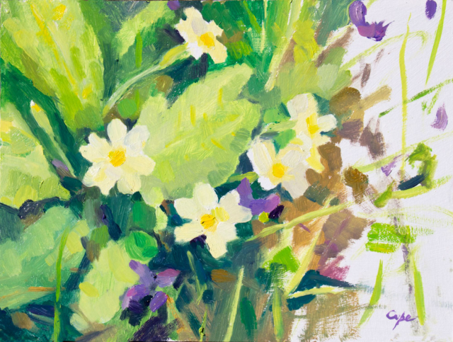 oil painting, spring flowers,primroses,primavere,pleinair flowers