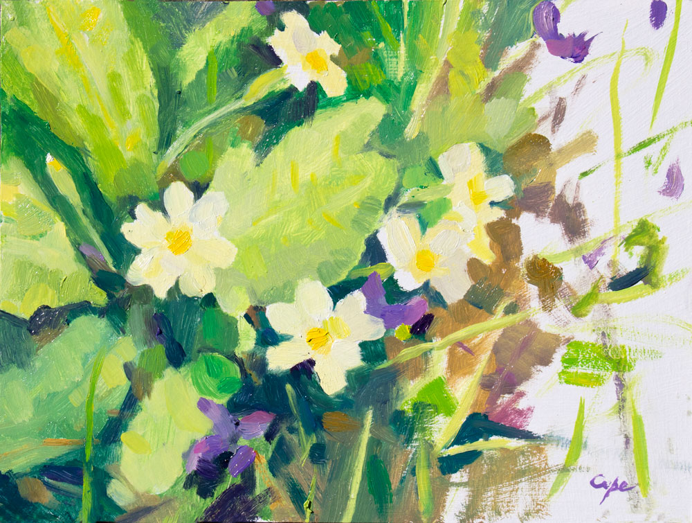 oil painting of spring flowers primroses primavere plein air flowers