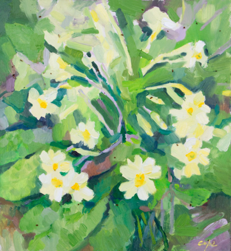 oil painting,spring flowers,primroses,primavere,contemporary botanica,