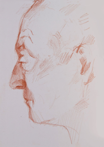 profile man sanguine drawing