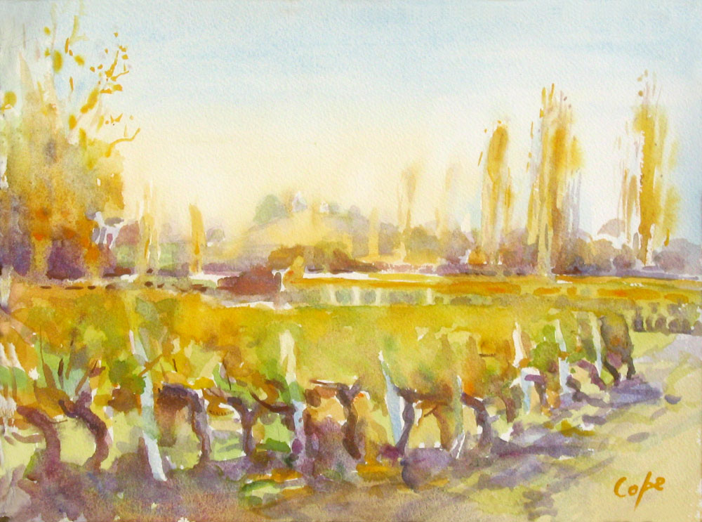 adam cope,watercolour,vignoble,automne,aquarelle