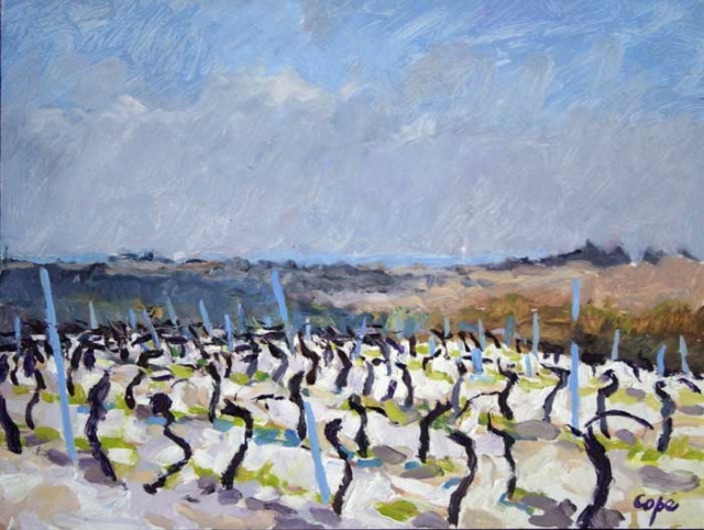 vines,quercy blanc,tableau,painting,pleinair,alla prima,landscape, study