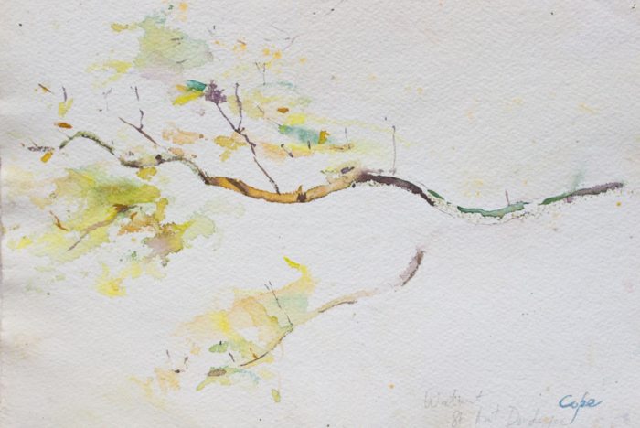 neo sumie-e,zen calligraphie, tree, watercolour,branch,walnut