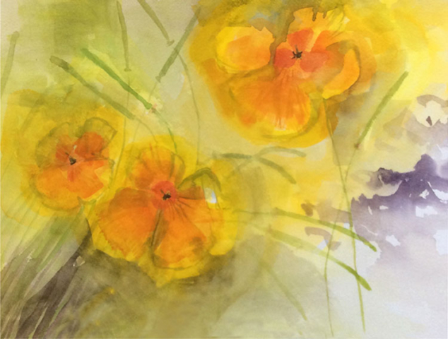 'Californain Poppies' by Hanna. Advanced level watercolour