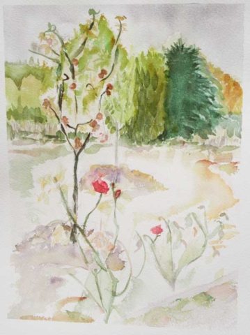 'The Rose Garden at Beduer' Wet on wet watercolour.