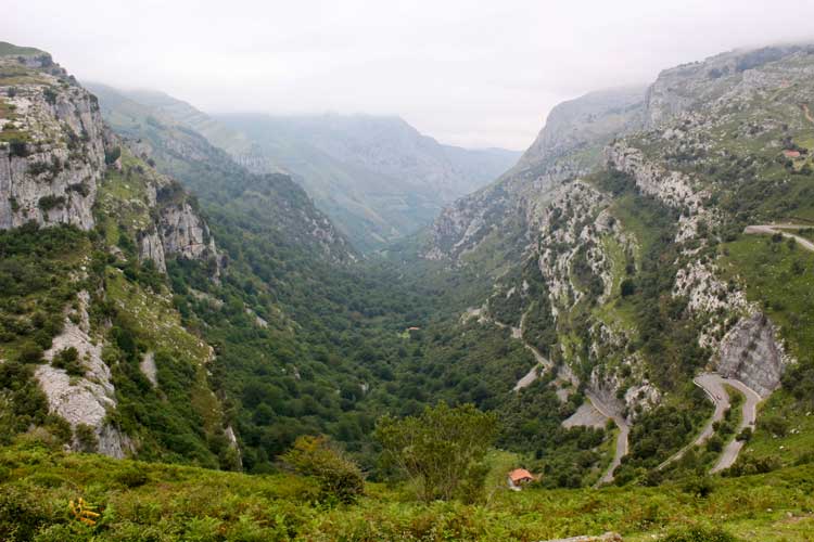 mistsy hills