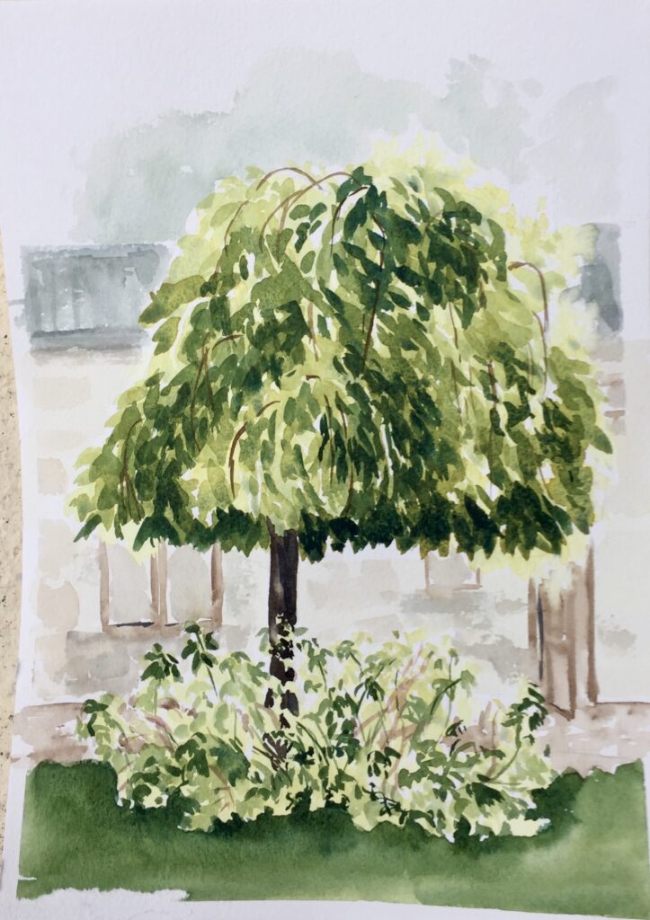 tree,watercolour,painting course,student,adavanced,green