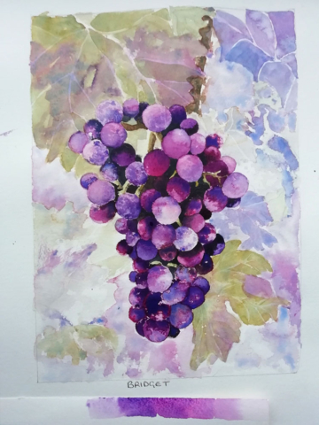 watercolour grapes,france,student painting,workshop example,analgous pair of colours