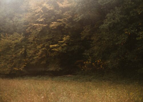 foret,pairie;lisiere,perigord;dordogne,france