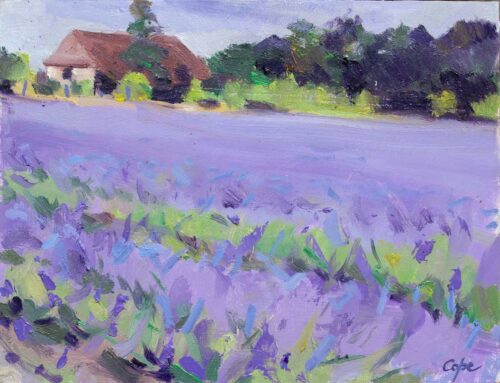lavande,peinture,huile,violet,
