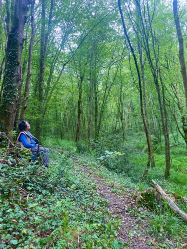 painter,woods,green,forest bath,art retreat,meditation nature