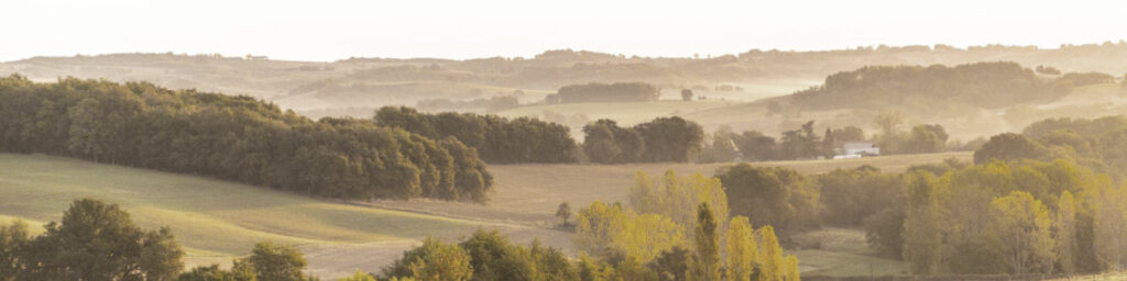 panorama,rolling hills,sunset, sepia