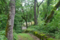 path to the Chapel
