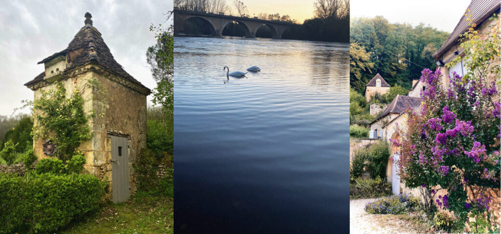 dordogne,pidgeonier,swans,village