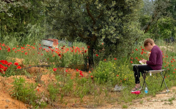 painter en plein-air,artist, field of poppies,mediation, art therapy,being in the zone